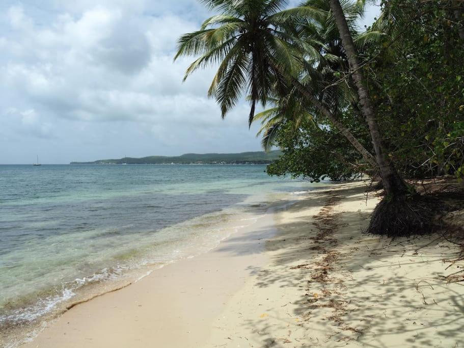 Katalea - Blue Dream, Plage, Piscine, Bar Grand-Bourg (Marie Galante) Exterior photo