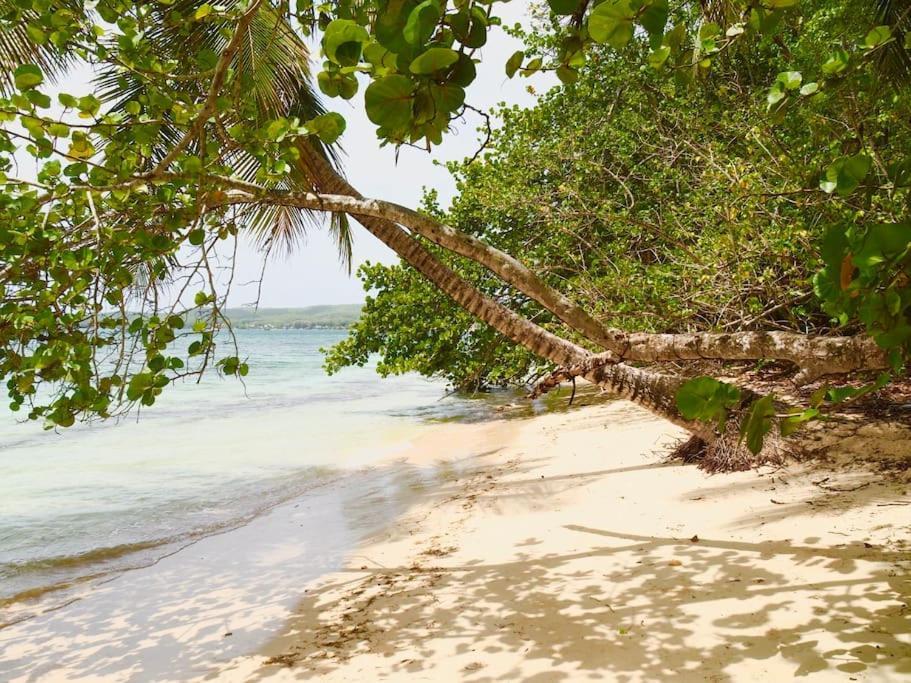 Katalea - Blue Dream, Plage, Piscine, Bar Grand-Bourg (Marie Galante) Exterior photo
